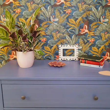 Cochet La Mare 2 și Terasa Constanţa